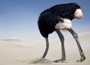 ostrich-in-the-sand-300x217.jpg